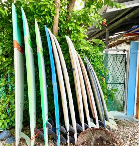 Surfboards in different sizes for surfing in Costa Rica´s waves